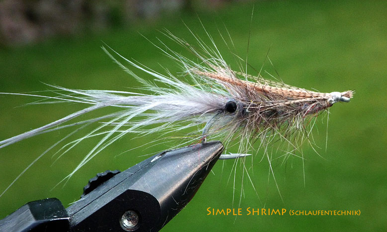 Simple Shrimp